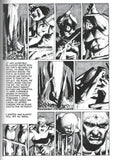Robert E HOWARD Richard CORBEN BLOODSTAR Graphic Novel King of the Northern Abyss Satha Ymir Barbarian Sword & Sorcery Monsters