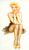 VARGA, Large Hard Cover Pin-Up Book, by Tom Robotham, MINT, Alberto Vargas, Esquire Magazine, King of Pinup Art