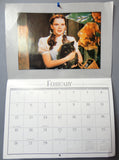 Wizard of OZ 1995 Calendar L FRANK BAUM Classic Children's Illustrated Fantasy M G M Movie Judy Garland Jack Hailey Bert Lahr Ray Bolger