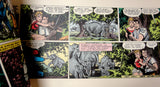 JUNGLE JIM 50 3rd Series Sunday Pages May 9/Aug 8 1954 Alex Raymond Paul Norris Don Moore LARGE Action Hero Newspaper Comic Strip Reprint