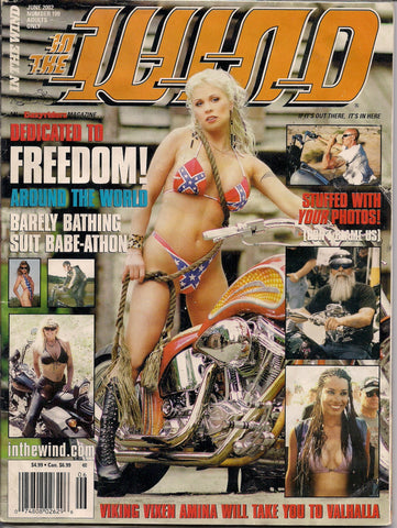 Easyriders IN the WIND #109 Adult Motorcycle Enthusiast Biker Harley Davidson Kustom Counter Culture History PinUp Art Fiction Underground